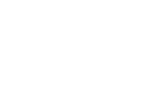 Valdivieso Group